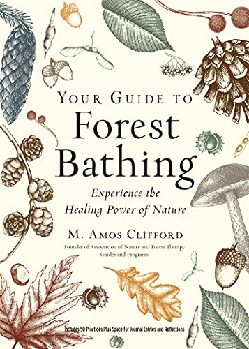 Your Guide to Forest Bathing: Experience the Healing Power of Nature von Red Wheel