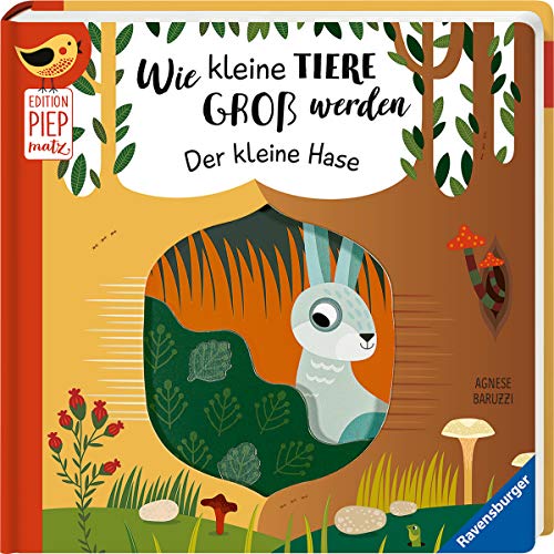 Wie kleine Tiere groß werden: Der kleine Hase (Edition Piepmatz)