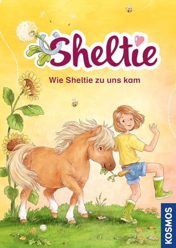 Sheltie - Wie Sheltie zu uns kam Sheltie - Wie Sheltie zu uns kam