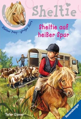 Sheltie auf heißer Spur