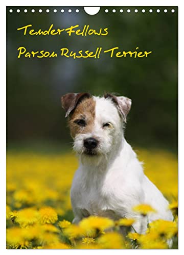 Tender Fellows - Parson Russell Terrier (Wandkalender 2024 DIN A4 hoch), CALVENDO Monatskalender von CALVENDO