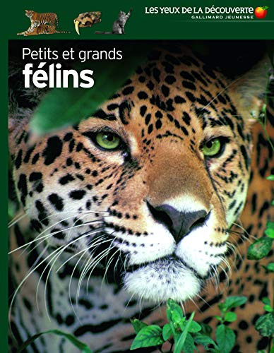 Petits et grands félins von Gallimard Jeunesse