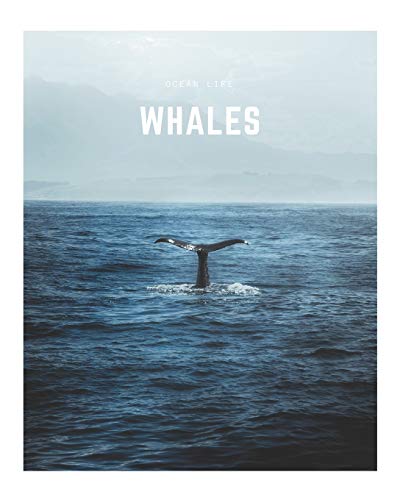 Whales: A Decorative Book │ Perfect for Stacking on Coffee Tables & Bookshelves │ Customized Interior Design & Home Decor: A Decorative Book │ ... & Home Decor (Ocean Life Book Series, Band 2)