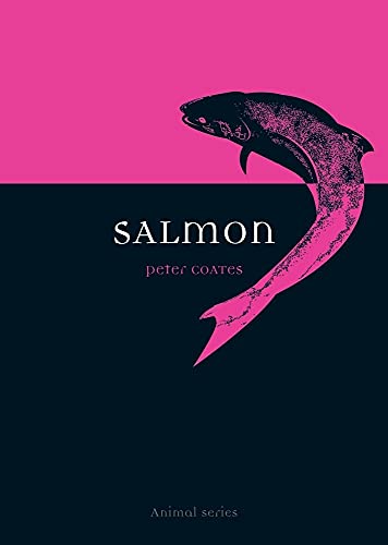 Salmon (Animal)