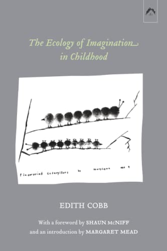 The Ecology of Imagination in Childhood von Spring Publications