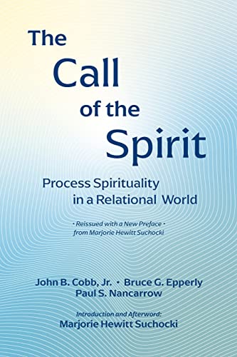 The Call of the Spirit: Process Spirituality in a Relational World (Faith in Process, Band 2)