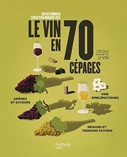 Le vin en 70 cépages: Nouvelle édition von HACHETTE PRAT