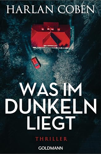 Was im Dunkeln liegt: Wilde ermittelt 2 - Thriller Was im Dunkeln liegt: Wilde ermittelt 2 - Thriller