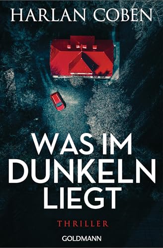 Was im Dunkeln liegt: Wilde ermittelt 2 - Thriller