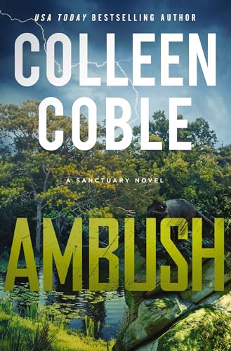 Ambush: A Small-Town Romantic Suspense (A Sanctuary Novel, Band 1)
