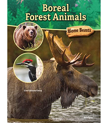 Boreal Forest Animals (Biome Beasts) von Bridges