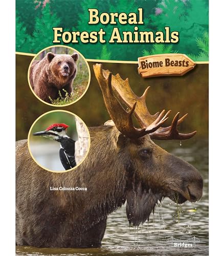 Boreal Forest Animals (Biome Beasts) von Bridges