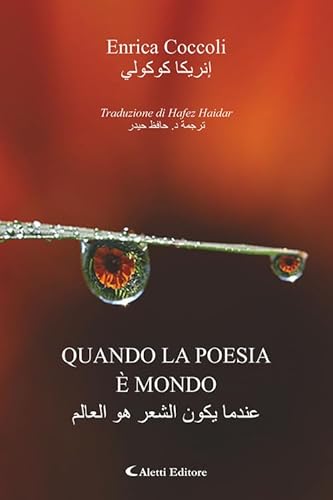 Quando la poesia è mondo. Ediz. italiana e araba (Altre frontiere) von Aletti editore