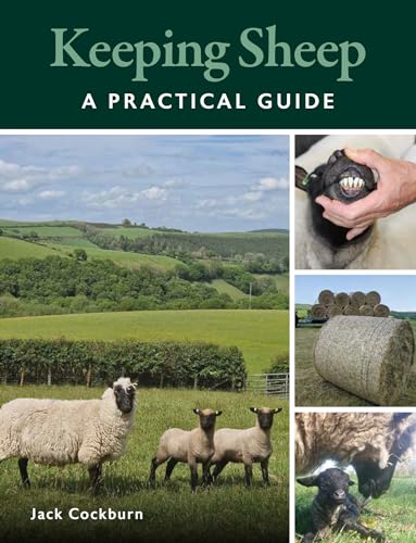 Keeping Sheep: A Practical Guide von The Crowood Press Ltd
