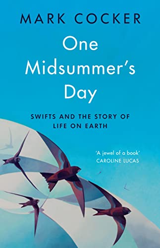 One Midsummer's Day: Swifts and the Story of Life on Earth von Jonathan Cape