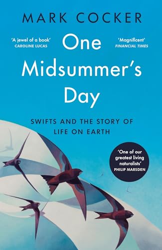 One Midsummer's Day: Swifts and the Story of Life on Earth von Vintage