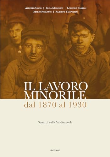 Il lavoro minorile dal 1870 al 1930. Sguardi sulla Valdinievole Il lavoro minorile dal 1870 al 1930. Sguardi sulla Valdinievole von Metilene