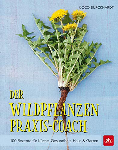 Der Wildpflanzen Praxis-Coach: 100 Rezepte für Küche, Gesundheit, Haus & Garten