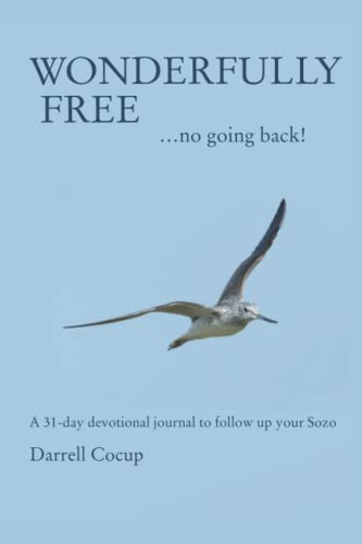 Wonderfully Free...no going back!: a 31-day devotional journal to follow up your Bethel Sozo