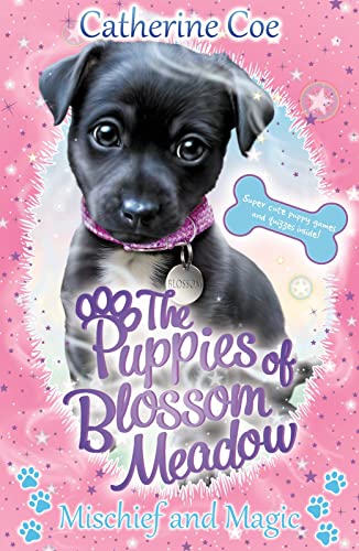 Mischief and Magic (Puppies of Blossom Meadow #2) von Scholastic