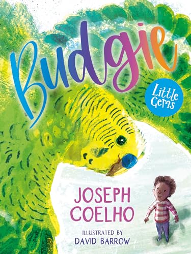 Budgie: the stunning first chapter book from Waterstones Children’s Laureate Joseph Coelho (Little Gems)