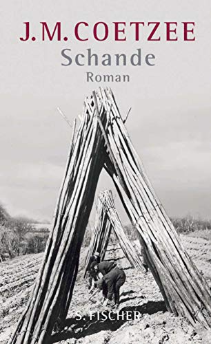 Schande: Roman Schande: Roman