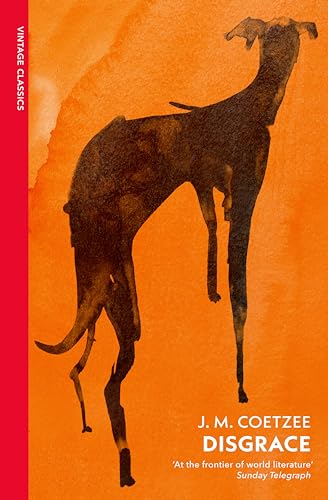 Disgrace: A BBC Radio 4 Good Read (Vintage Classics)