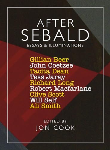After Sebald: Essays and Illuminations