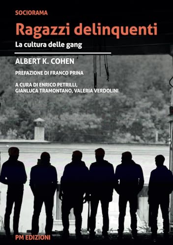 Ragazzi delinquenti: La cultura delle gang von PM edizioni
