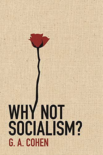 Why Not Socialism? von Princeton University Press