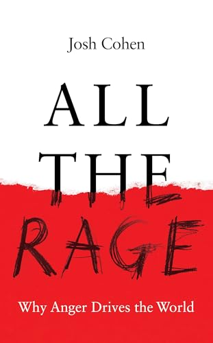 All the Rage: Why Anger Drives the World von Granta Books