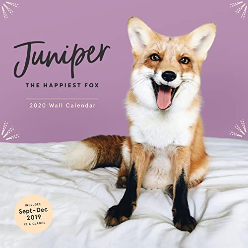 Juniper: The Happiest Fox 2020 Wall Calendar: (Animal Calendar 2020, 2020 Office Wall Calendar, Fox Gifts for Women and Men)
