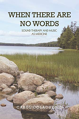 WHEN THERE ARE NO WORDS: Sound Therapy and Music as Medicine von Xlibris Us