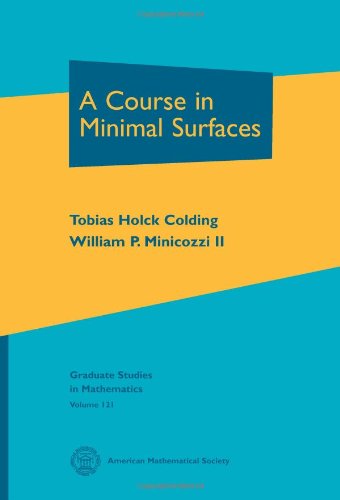 A Course in Minimal Surfaces (Graduate Studies in Mathematics, 121, Band 121) von American Mathematical Society