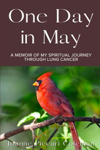 One Day in May: A Memoir of My Spiritual Journey Through Lung Cancer von Higher Ground Books & Media