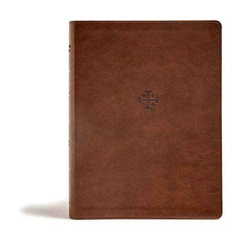 CSB Life Connections Study Bible, Brown Leathertouch: Christian Standard Bible, Brown Leathertouch, For Personal or Small Group Study