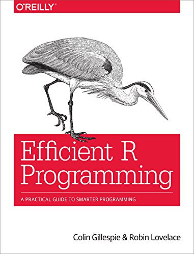 Efficient R Programming von O'Reilly Media