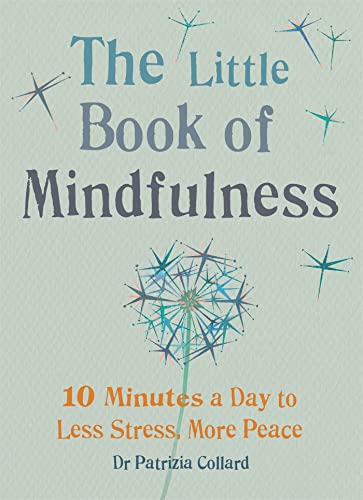 The Little Book of Mindfulness: 10 minutes a day to less stress, more peace (The Little Book Series) von Gaia