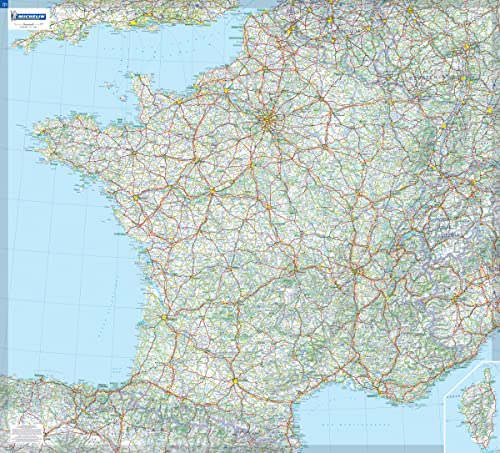France - Michelin rolled & tubed wall map Encapsulated: Wall Map (Mapas en tubo y plastificados Michelin)