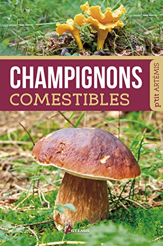 CHAMPIGNONS COMESTIBLES