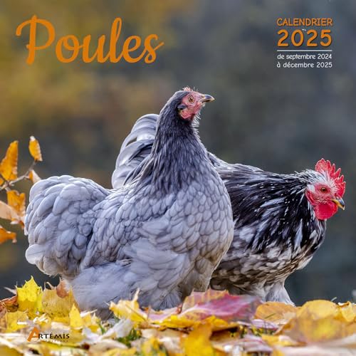 Calendrier Poules 2025: Calendrier de septembre 2024 à décembre 2025 von ARTEMIS