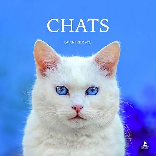 Calendrier chats 2025 Calendrier chats 2025 von PLACE VICTOIRES