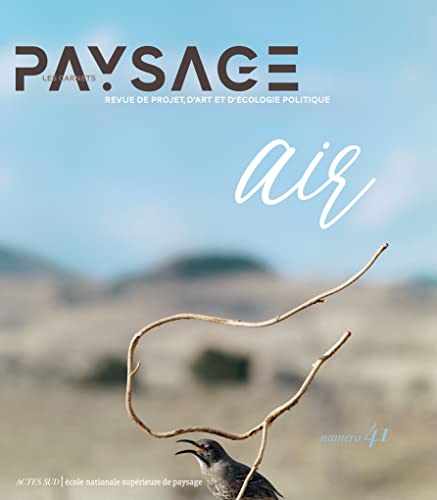 Carnets du paysage n° 41: L'air Carnets du paysage n° 41: L'air