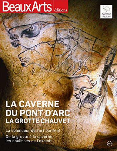 Caverne du pont d'arc (La): LA GROTTE CHAUVET