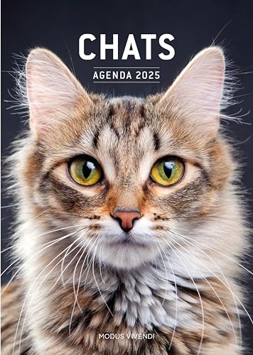 Chats - Agenda 2025 von MODUS VIVENDI
