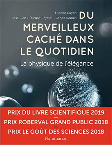 Du merveilleux caché dans le quotidien: La physique de l'élégance