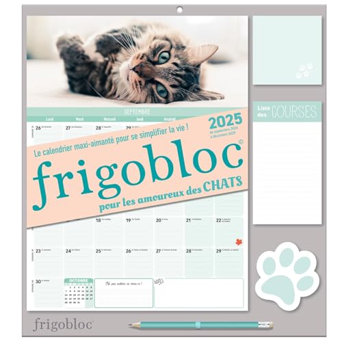Frigobloc Mensuel 2025 Chats (de sept. 2024 à déc. 2025): Avec un crayon von PLAY BAC