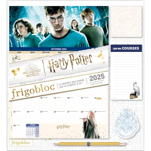 Frigobloc Mensuel 2025 Harry Potter (de sept. 2024 à déc. 2025) von PLAY BAC