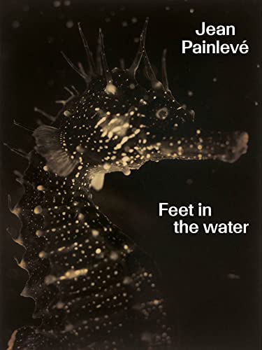 Jean Painlevé. Feet in the water von LIENART