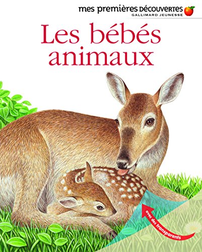 Les bébés animaux Les bébés animaux